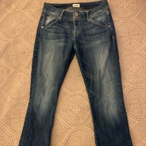 Hudson Baby Bootcut Petite Jeans